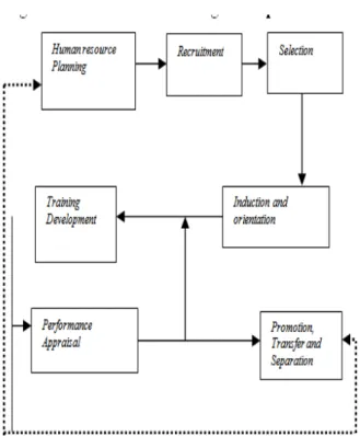 Fig 2. Human resource management process 