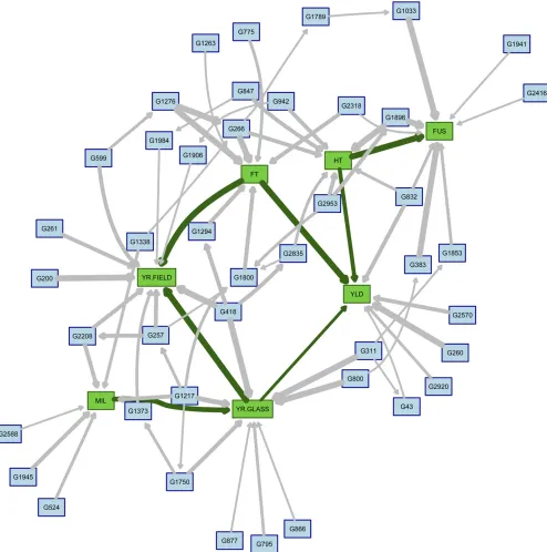 Figure 1 Averaged network obtained from the cross-validated BNs forthickness of the arcs represents the strength of the corresponding dependence relationships as measured by their frequency in the BNs produced during a = 0.10