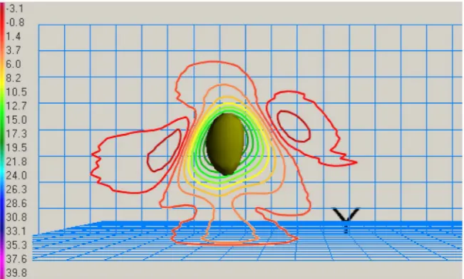 Figure 4. Isolines of different values of the upflow velocity and isosurface W = 35.0 m /s in the vertical plane (20th min)
