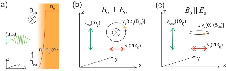 FIG. 1. (a) Sketch of the interaction conﬁguration with the incident laser along the x direction