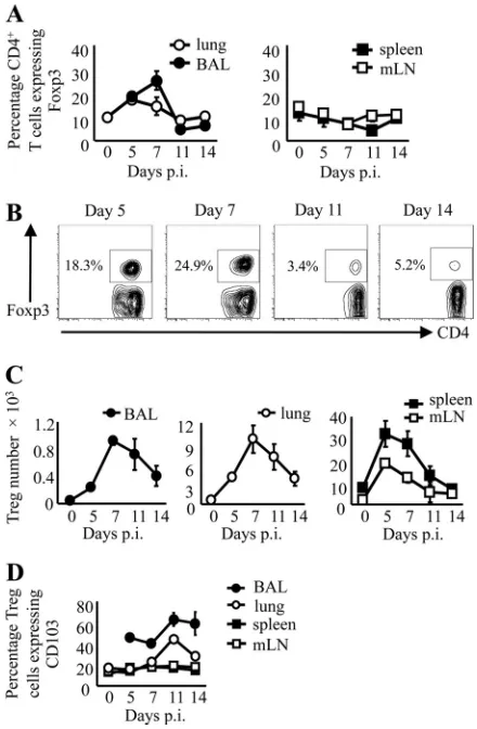 FIG 1 Inﬂuenza A virus infection results in a robust Foxp3lung parenchyma, mLN, and spleen across a time course following inﬂuenza Avirus infection.coexpressing Foxp3