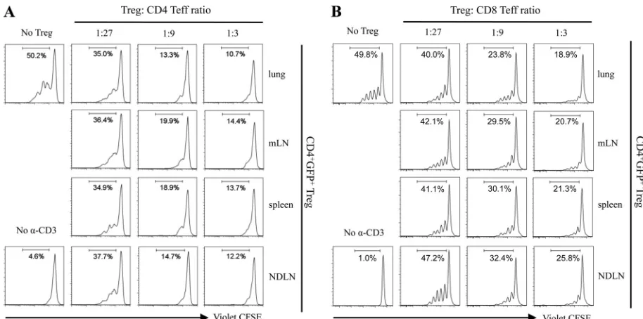 FIG 2 Foxp3� CD4� T cells induced during inﬂuenza A virus infection are highly suppressive