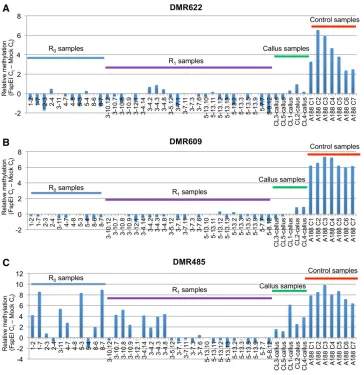 Figure 3 Validation of the heritabilitysamples include 11 additional Rand seven control plants not subjectedto tissue culture