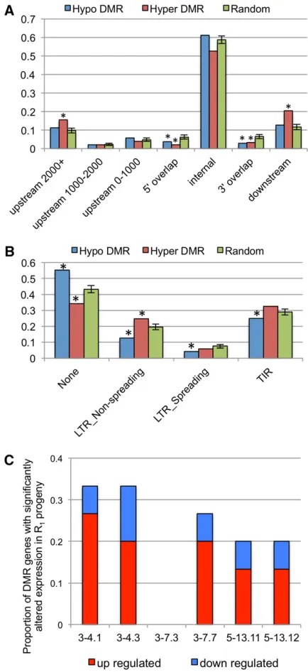 Figure 4 Characterization of genomic context of tissue culture DMRs(and misregulated expression of DMR genes