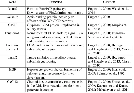 Table 3- 1) Genes with Pitx2 binding sites in the promoter 