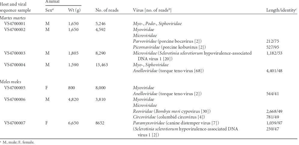 TABLE 1 Viral sequences identiﬁed in pine marten and European badger rectal swabs