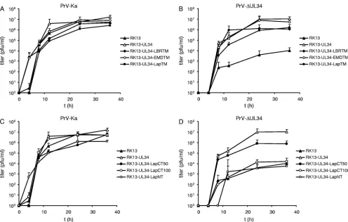 FIG 3 Western blot analysis. Lysates of RK13, RK13-UL34, RK13-UL34-LBRTM, RK13-UL34-EMDTM, RK13-UL34-LapTM, RK13-UL34-LapCT50,RK13-UL34-LapCT100, and RK13-UL34-LapNT cells were separated on SDS-10% polyacrylamide gels