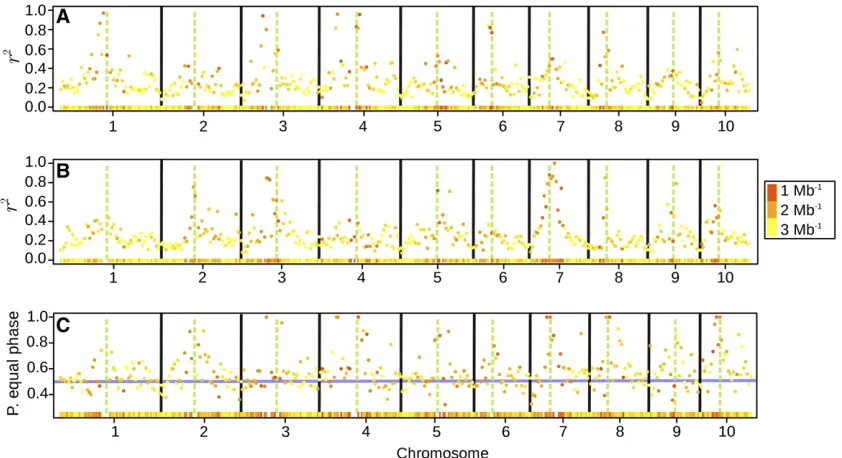 Figure 4 (A and B) Average pairwise LD (measured asdifferent colors of the points and the heat map in the bottom of each subplot indicate the marker density within the bin (Mbvertical bars indicate the physical positions of the centromeres, and the solid, 