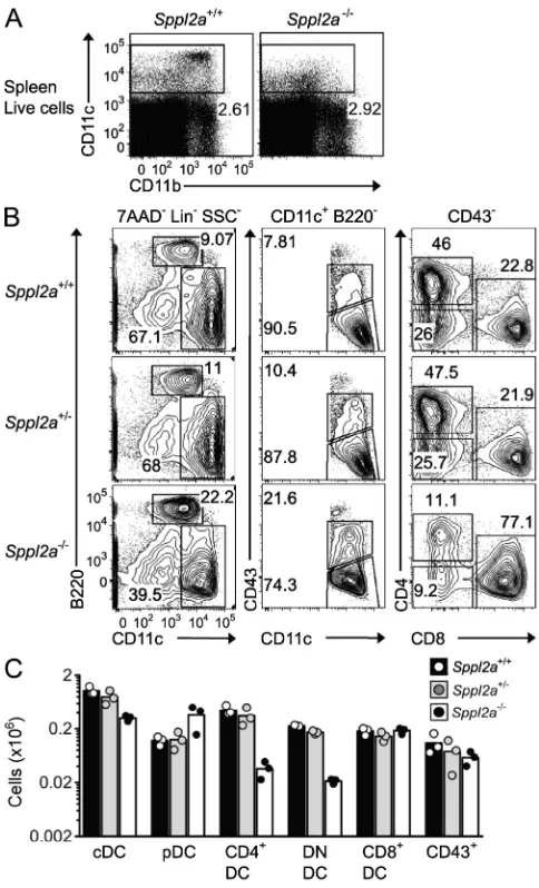Figure 5. Sppl2a is critical for CD8flow cytometric plots of total spleen cells (A) or spleen DCs (B) from  DCs