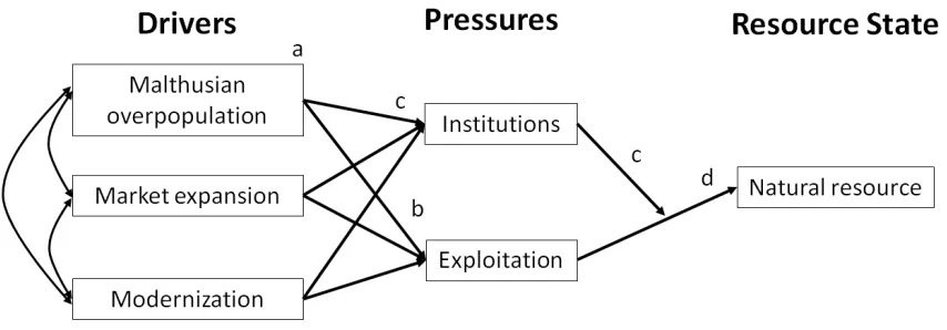 Figure 1.3 Model framework, derived from Driver, Pressure, State theory.  DPS theory is to be applied in this thesis to explain the effects of society on natural resources