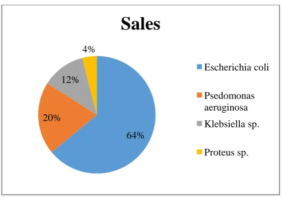Figure 1 POSITIVE BACTERIAL PATHOGENS AND ITS PERCENTAGE 