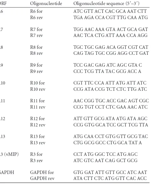 TABLE 1 Oligonucleotide sets used for RT-PCR