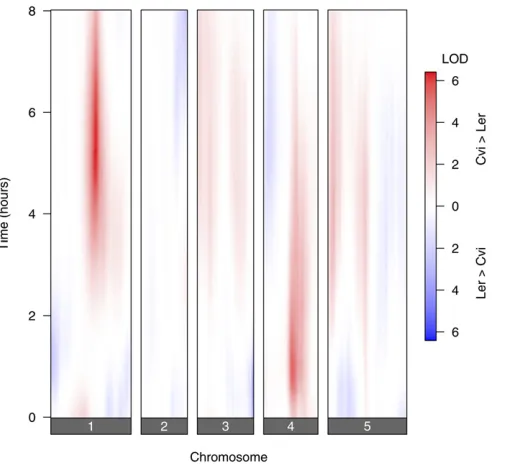 Figure 1 Signed LOD scores from single-QTL genome scans, with eachtime point considered individually.