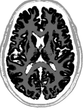 Figure 3 An example grayscale image for printing on paper 
