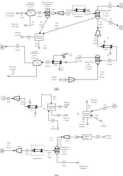 Figure 2.3. Process flow diagram of CO2 production from natural deposit 