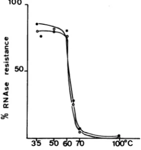 FIG. 7.proceduresamples;eachand Analysis of ts II 052 and ts IV 0111 nucleocapsids after complete removal of the NS protein
