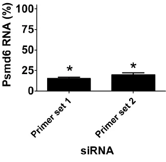 Figure S2   siRNA-mediated gene knockdown of Psmd6 was monitored by qPCR using either of two different primer sets