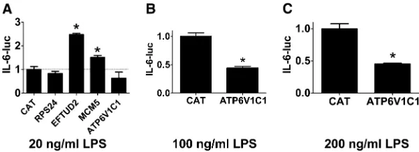Figure 3 Overexpression studies demonstrate that Eftud2and Atp6v1c1 regulate IL-6 expression