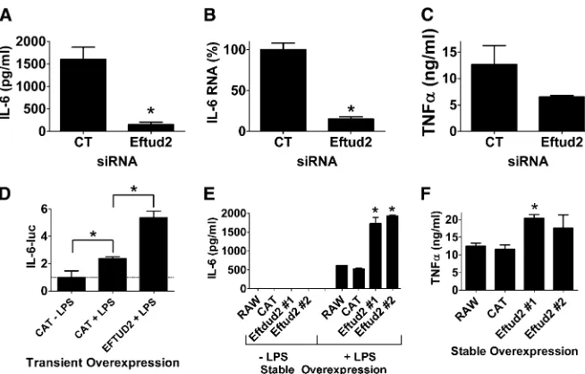 Figure 5 Eftud2 regulates the innate immuneresponse in mouse macrophages. (A–C) Cellswere treated with either Eftud2 siRNA or con-trol (CT) siRNA; were exposed to 20 ng/ml LPSfor 6 hr; and IL-6 protein (A), IL-6 mRNA (B), orTNFa protein (C) was monitored