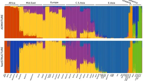 Figure 6 Ancestry proportions inferred by ADMIXTURE and fastSTRUCTURE (with the simple prior) on the HGDP data atADMIXTURE splits the Central and South American populations into two groups while fastSTRUCTURE assigns higher approximate marginal likelihood 
