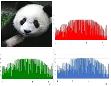 Fig 7(a)Image and RGB intensity levels  