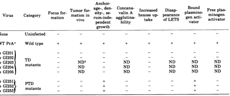 TABLE 8. Summary ofparameters and responses observed with different mutants at 41'C
