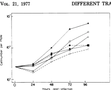 FIG.1.plicityanmedium.roomGI251intervals(closedtime(0), initial Growth curves with ts GI201 (U)- and ts (A)-infected cells, as well as with normal cellsis shown at 359C (open symbols) and 419C symbols)