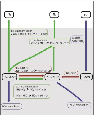 Fig. 1.1 Biological transformation of nitrogen during the wastewater treatment process