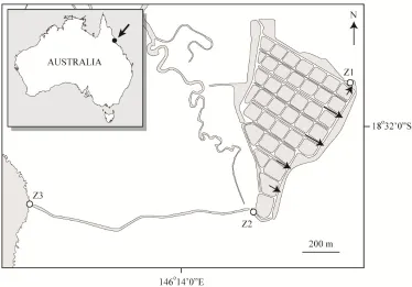 Fig. 3.1 The location of a commercial prawn farm on the North Australian coast and the wastewater from the farm