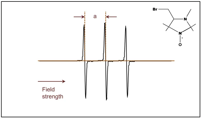 Fig. 1.3  A typical EPR spectrum for free 