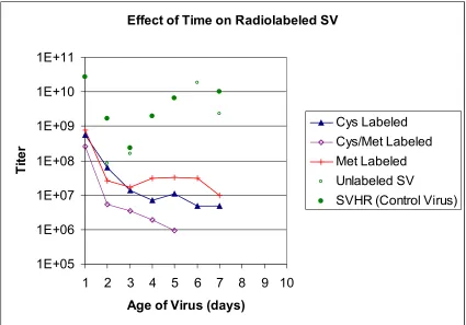 Figure 2.2  Effect of Radioactive Label on Stability of SV.  Several batches of SVwere labeled with either Cys, Met, or Cys and Met
