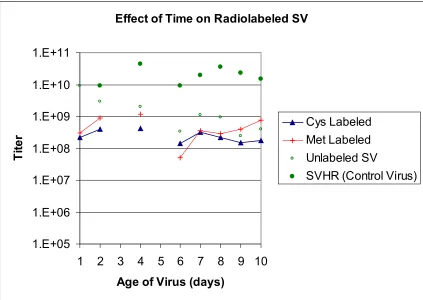 Figure 2.3  Effect of Radioactive Label on Stability of SV.  Several batches of SVwere labeled with either Cys, Met, or Cys and Met