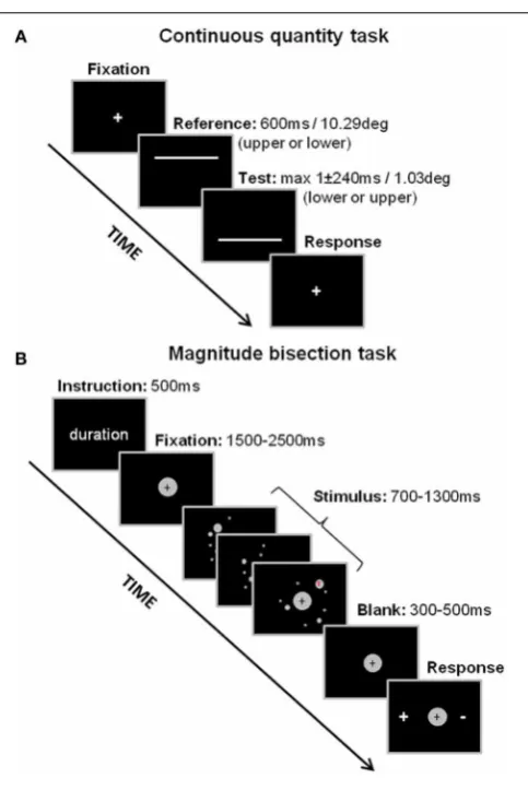 FIGURE 1 | Experimental designs for the continuous quantity tasks (A)and the magnitude bisection tasks (B)