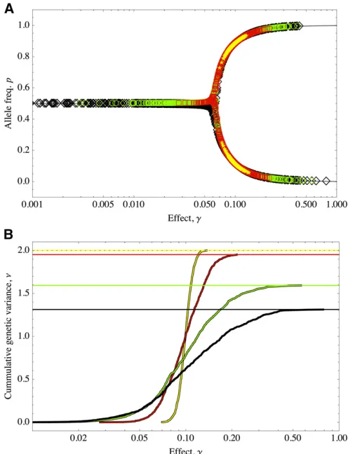 Figure 5 (A) Equilibria under different distributions of allelic effects. Sym-1000,pbols show data from simulations