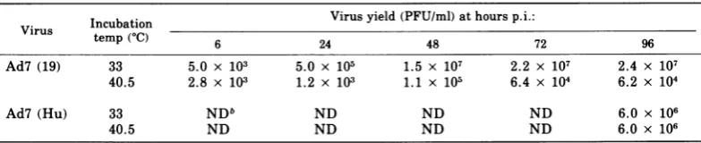 TABLE 2. Kinetics ofgrowth of mutant Ad7 in KB cells a