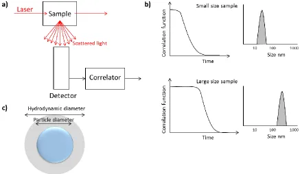 Figure 2.11. Dynamic Light Scattering (DLS) theory. a) Schematic experimental set-up. b) Correlation functions as function of time and their interpreted size for small and large size samples