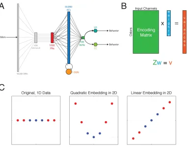 Figure 2-1 Biological circuit and problem formulation. 