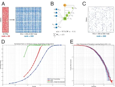 Figure 2-2 Full-rank, ultra-sparse odor representations.  A representation of 200 odors by 50 PNs has a maximum rank of 50 (achieved in this case), 