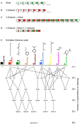 Figure 1-1 Stimulus descriptions. 