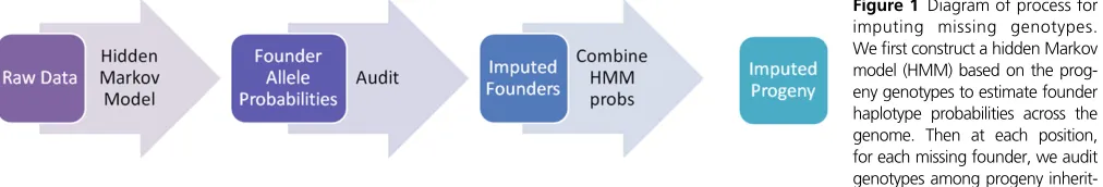 Figure 1 Diagram of process for