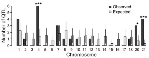 Figure 6 Large-effect QTL are enriched on chromosomes 4, 20, and 21.Observed (solid bars) and expected (open bars) numbers of large-effectQTL (top quartile by LOD) per chromosome are shown