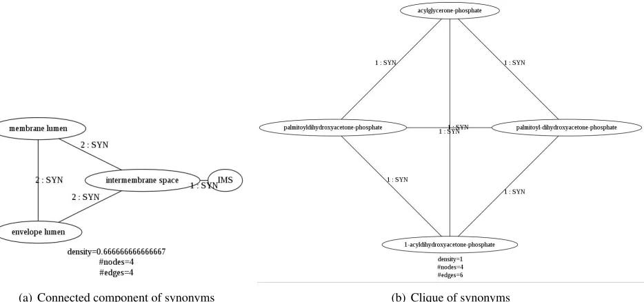 Figure 2: Connected components formed with pairs of elementary synonym relations.