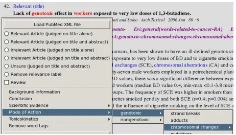 Figure 1: Screenshot of the annotation tool