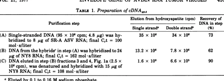 TABLE 1. Preparation ofcDNA,A