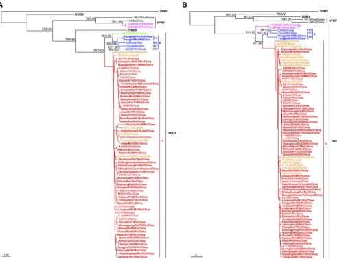 FIG 1 Phylogenetic relationships between Seoul viruses (SEOV) detected or isolated in and outside China