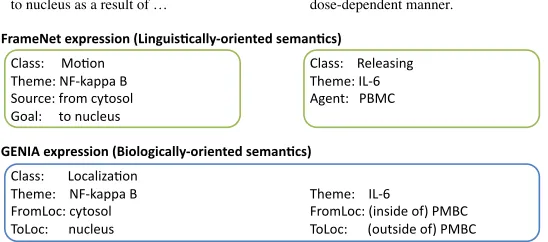Figure 1: A comparison of the linguistically-oriented and biologically-oriented structure of semantics