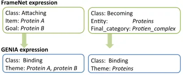 Figure 5: FN-to-GENIA conversions for Localization.Class: Becoming 