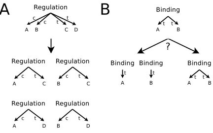 Figure 4: Example of event duplication. A) All theme–cause combinations are generated for regulation events.B) A heuristic is applied to decide how theme argumentsof binding events should be grouped.