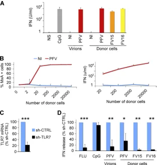 FIG 4 FV Sensing by the Gen2.2 pDC cell line. (A) Type I IFN release by Gen2.2 cells in contact with FV particles or FV-infected cells