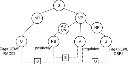 Figure 1: Parse tree where constituents are connected by"solid lines, linkages between terminals shown as dottedlines